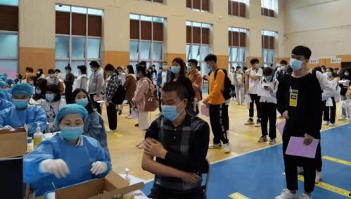 李华新皮肤最新爆料消息,细节解析与亮点抢先看